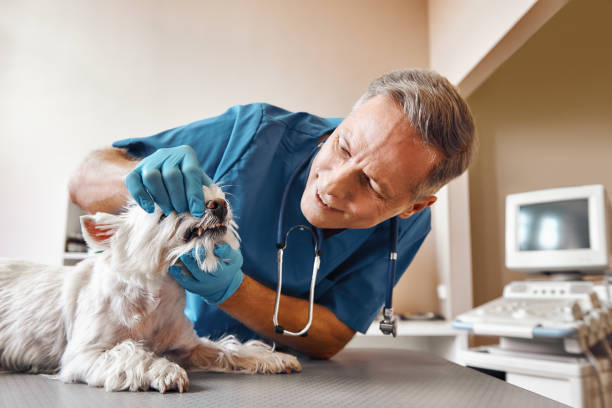 Best Emergency Tooth Extraction in Hickman, KY